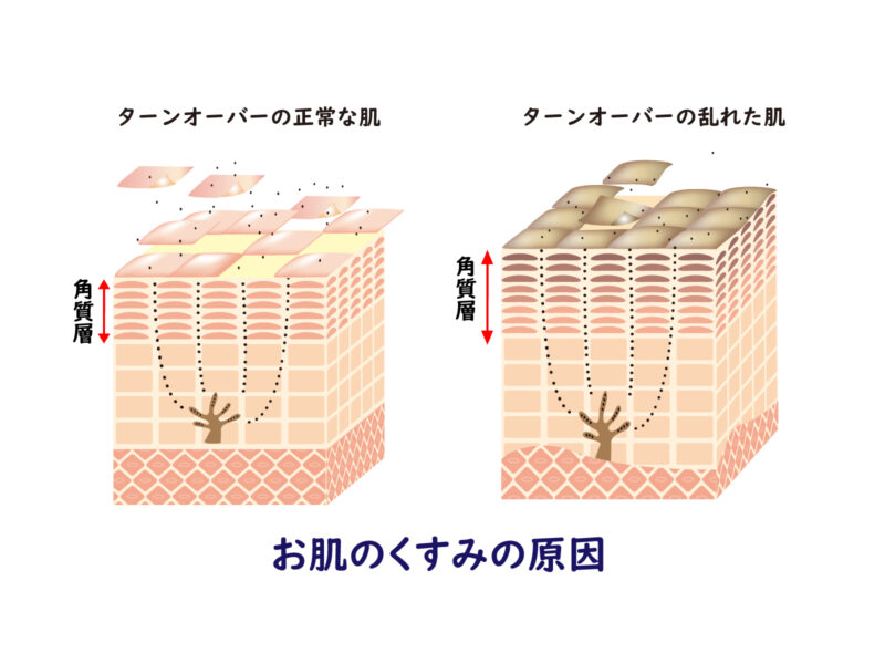 SEO視覚的にわかりやすい図